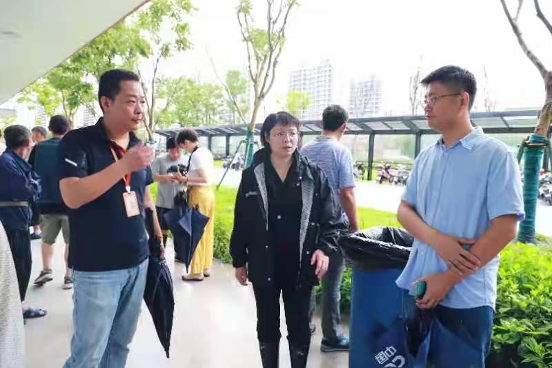 台风肆虐与疫情蔓延的双重挑战，应对策略解析