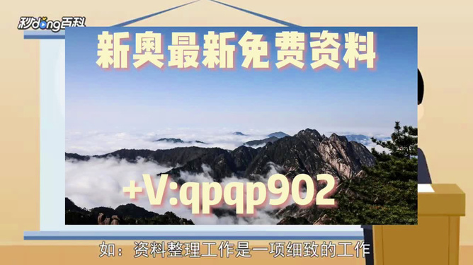 2024年正版资料免费大全一肖,深入分析定义策略_升级版47.538