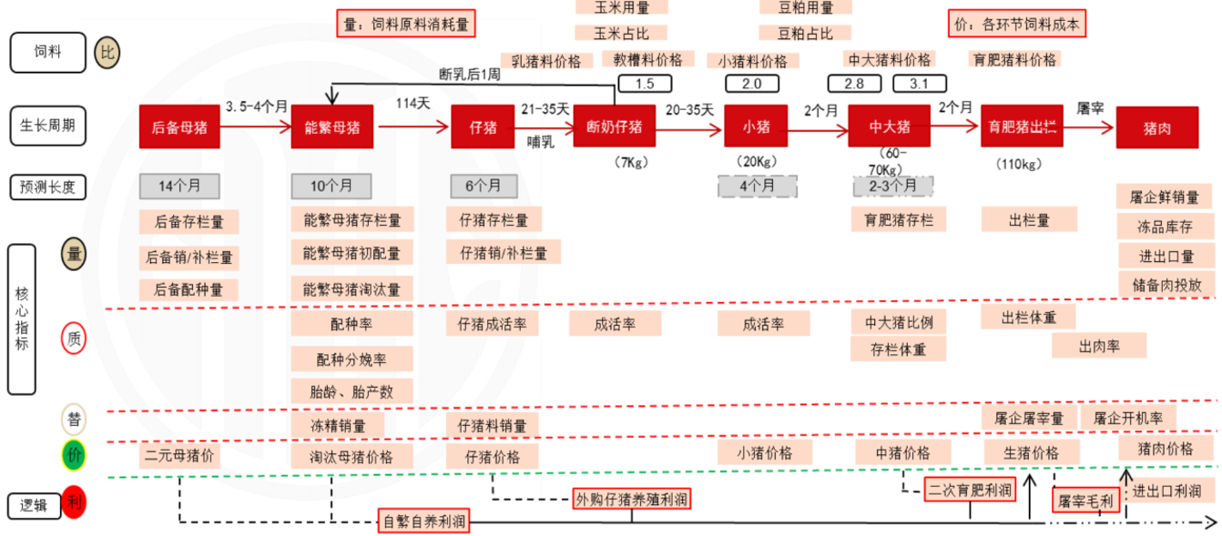 2024澳门特马今晚开奖图纸,快速解答方案执行_KP45.465