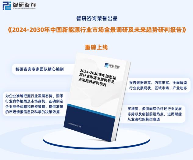 2024新奥精准正版资料,全面数据策略实施_冒险版55.824