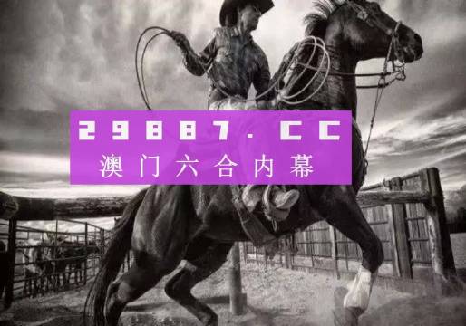 澳门正版资料免费大全新闻,精细解答解释定义_粉丝版49.209