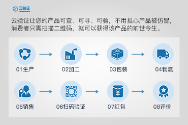 一码一肖100%精准生肖第六,系统解答解释落实_WP32.516