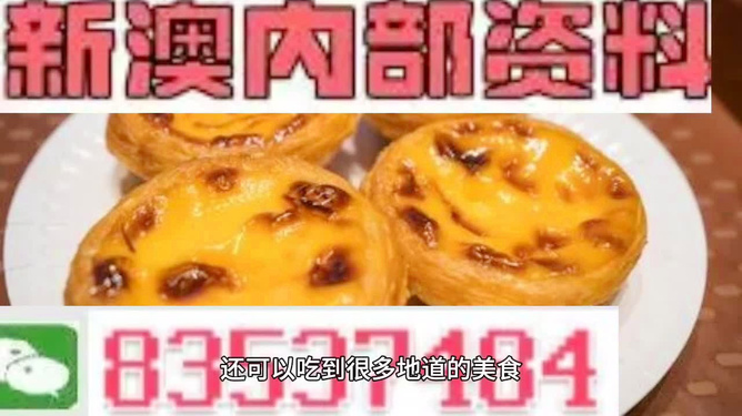 新澳门精准资料大全管家婆料,动态词语解释落实_免费版46.676