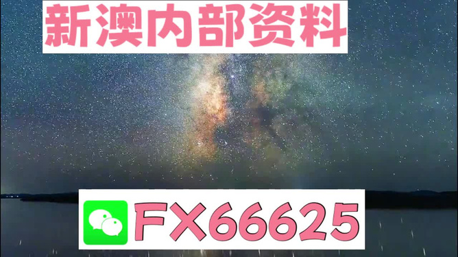 2024新澳天天资料免费大全,实地研究解析说明_进阶版45.275