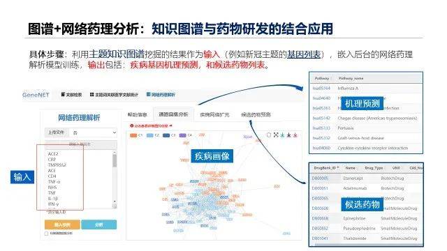 新澳精准资料免费提供网站有哪些,全面解析数据执行_XP29.172