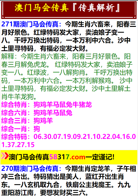 香港特马资料王中王,准确资料解释落实_领航款55.416